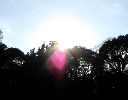 b0173754_633043.jpg