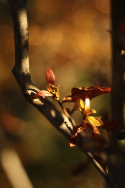 f0214858_1082090.jpg