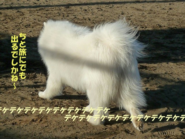 e0176159_12244992.jpg