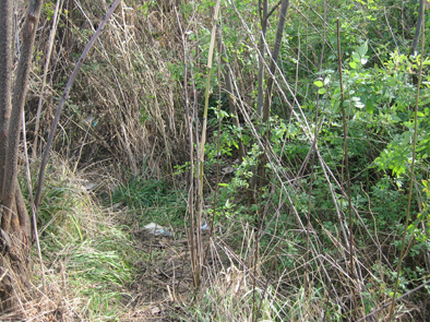 b0177760_15383822.jpg