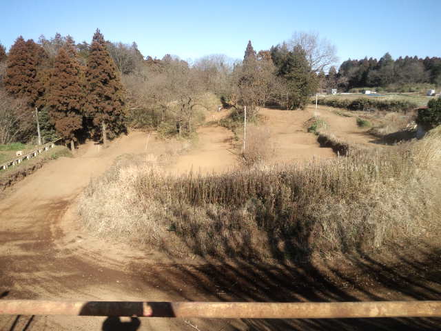 f0144362_1785692.jpg