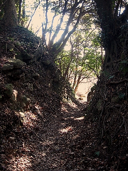 f0179663_16442829.jpg