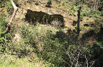 f0179663_1655259.jpg