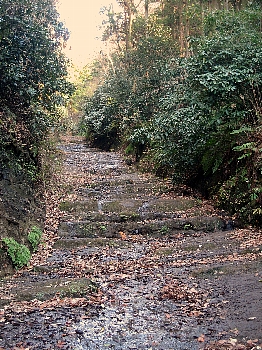 f0179663_171268.jpg