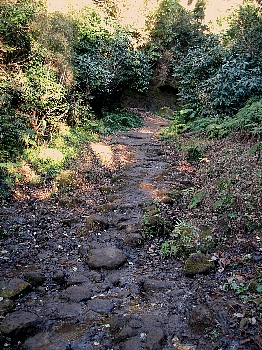 f0179663_17142863.jpg