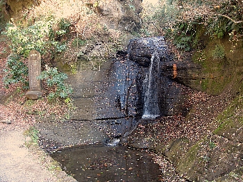 f0179663_17915100.jpg