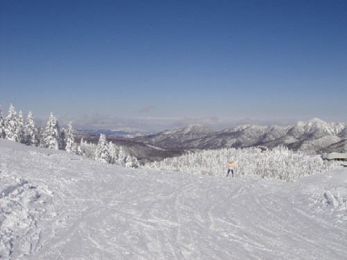 f0002265_22204593.jpg