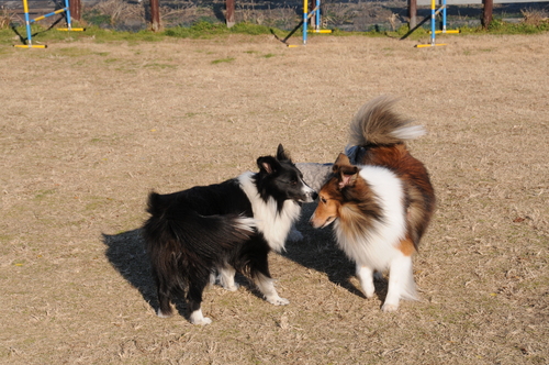 d0146967_027235.jpg