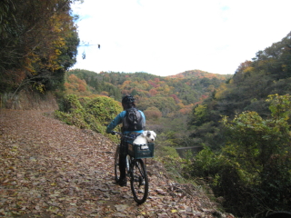 a0069271_23341874.jpg
