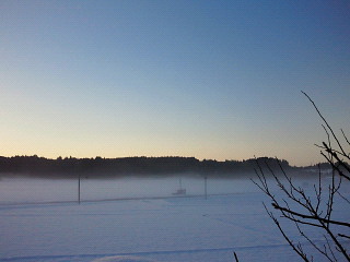 d0161575_803466.jpg