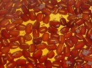 c0057781_1217455.jpg