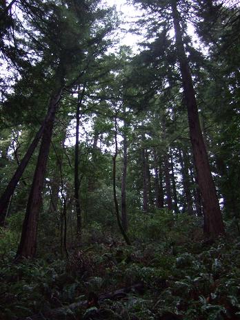 f0167281_16484936.jpg