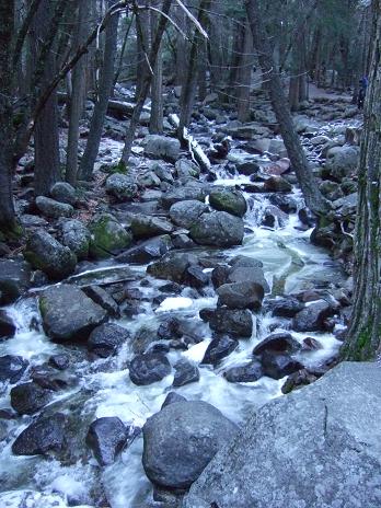 f0167281_18422773.jpg