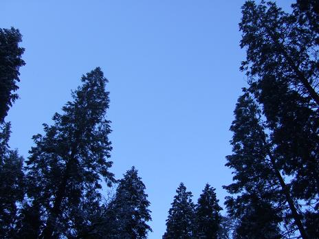 f0167281_23155867.jpg