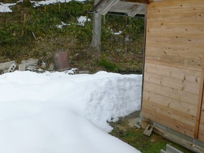 b0042882_14335.jpg