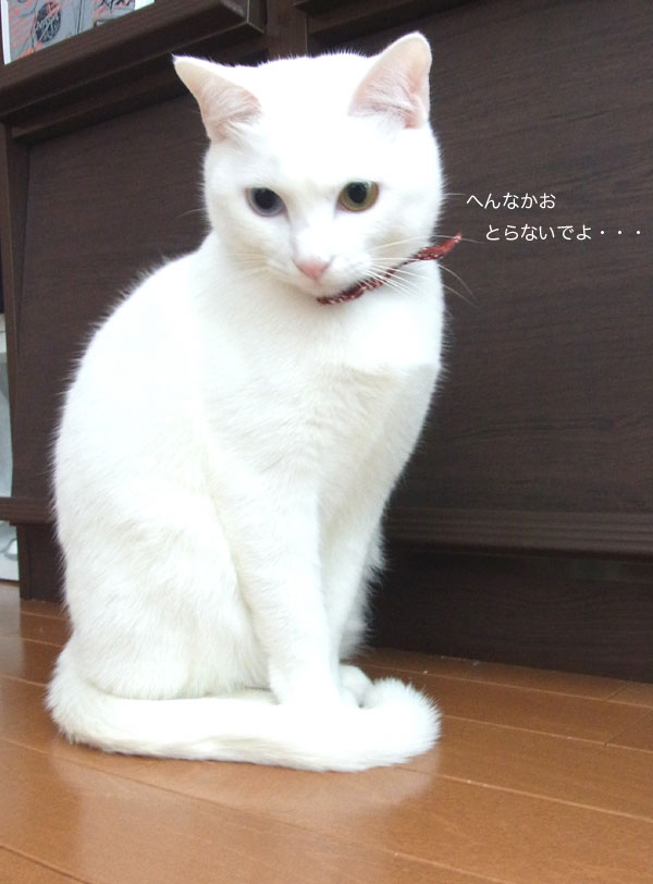 b0195090_14533910.jpg