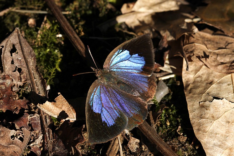 b0194593_23173218.jpg