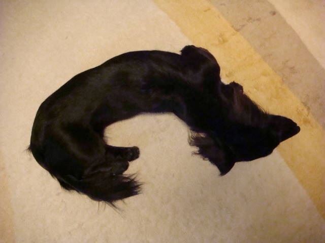 d0098295_2339078.jpg
