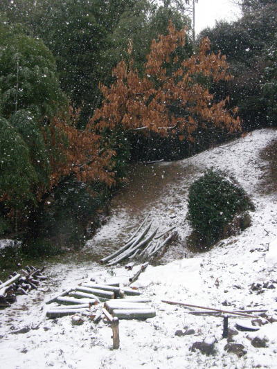 e0017396_22284420.jpg