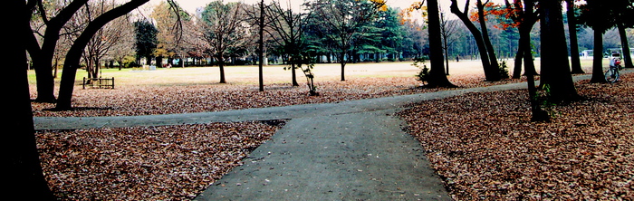 a0157704_2195764.jpg