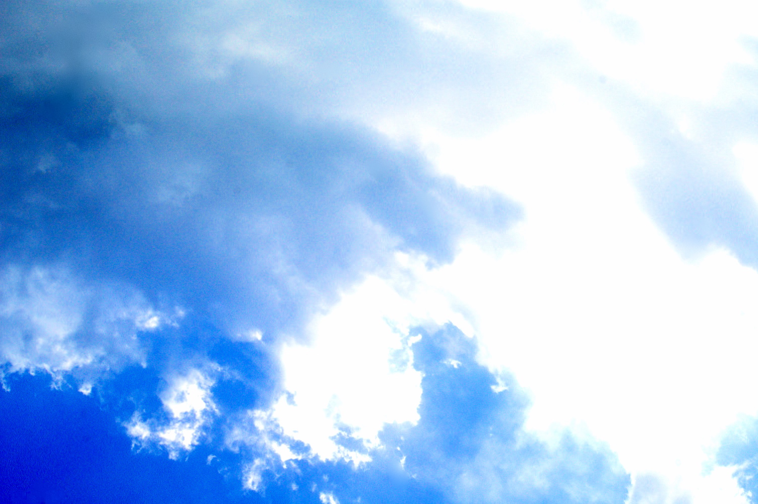a0157704_312354.jpg