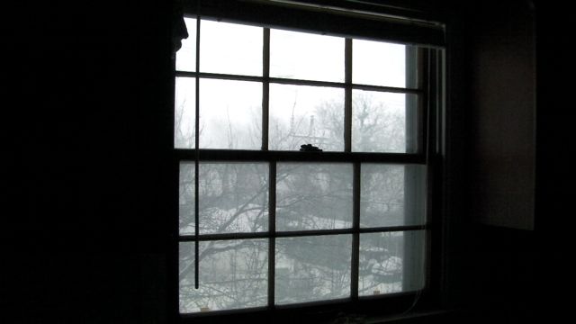 d0188704_13404450.jpg