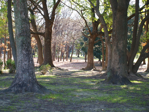 d0071507_21293775.jpg