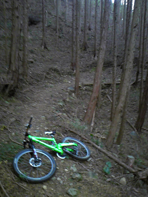 e0015108_20123436.jpg