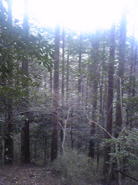 e0015108_20182290.jpg
