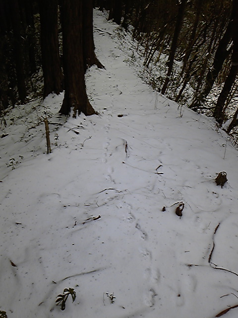 e0015108_2063141.jpg