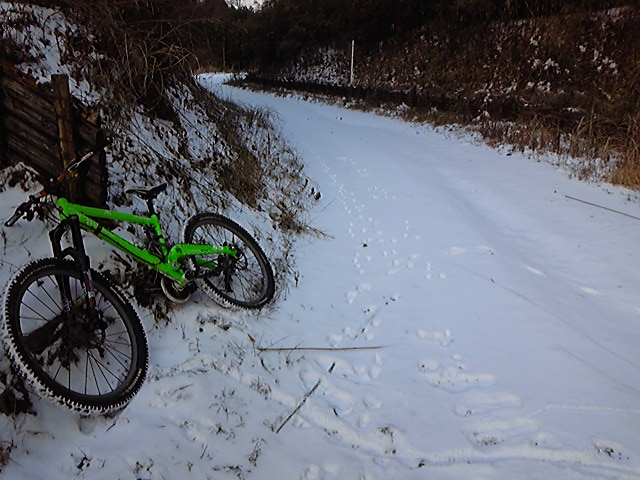e0015108_2074751.jpg