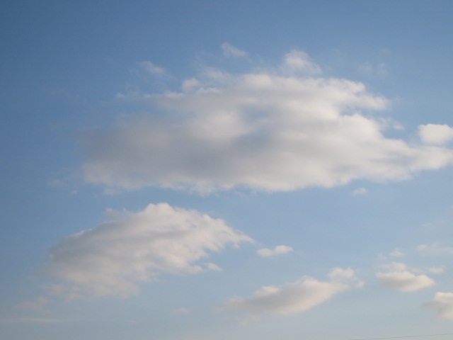 d0150309_229544.jpg
