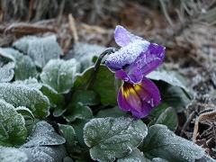c0190010_202155.jpg