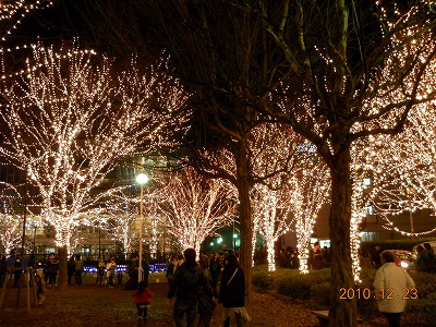 b0171411_17171288.jpg