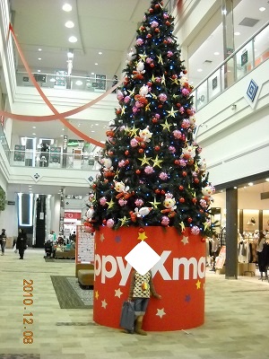 b0171411_1794541.jpg