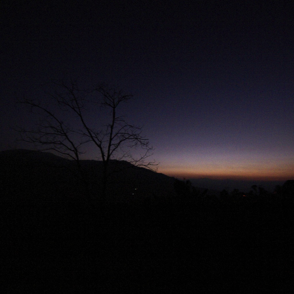 e0142611_047302.jpg
