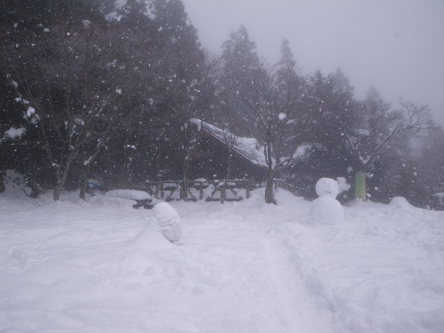 d0006512_20113423.jpg