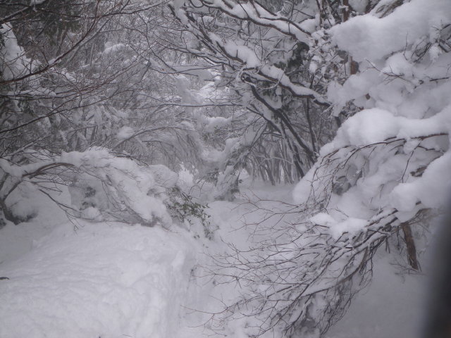 d0006512_20124674.jpg