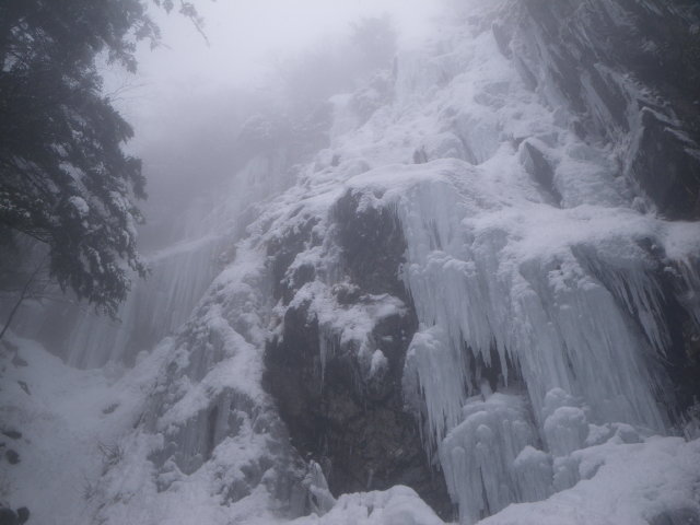 d0006512_20151895.jpg