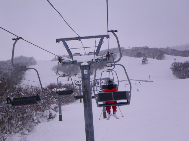 d0006512_20470100.jpg