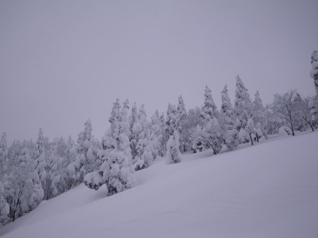 d0006512_20473681.jpg