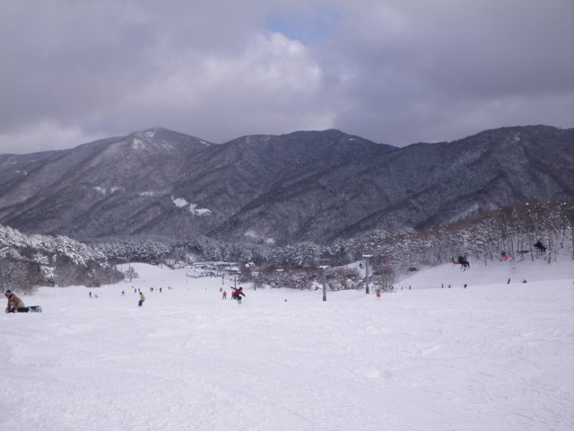 d0006512_2048299.jpg