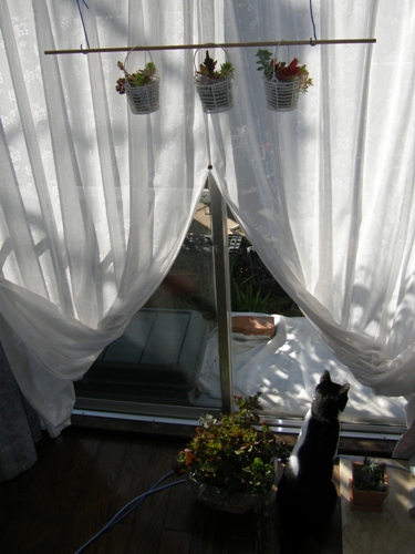 c0158916_2148242.jpg