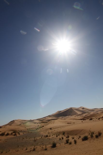 c0008520_7523410.jpg