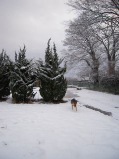 c0090220_13583986.jpg