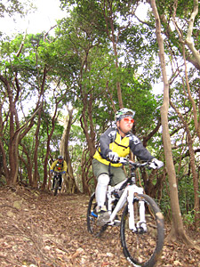d0023725_196824.jpg