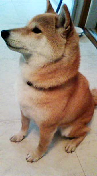 c0155326_2132281.jpg