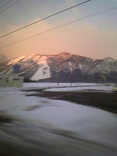 a0126128_0454255.jpg