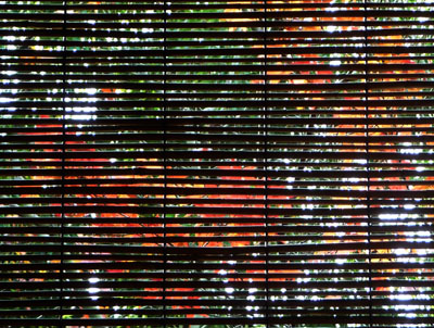 b0035734_20533286.jpg