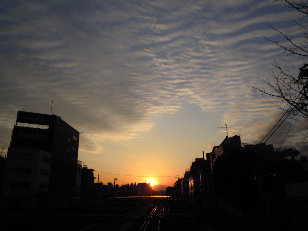 e0081334_23183622.jpg